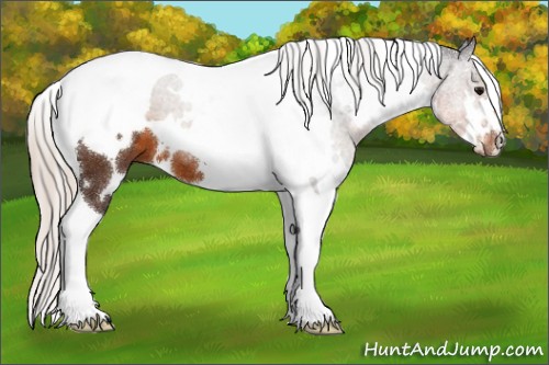Horse Color:White Spotted Silver Buckskin Tobiano