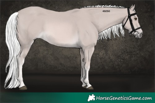 Horse Color:Platinum Palomino 