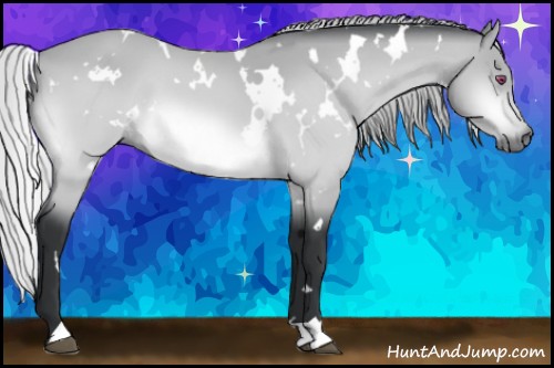 Horse Color:White Spotted Silver Bay Chinchilla 