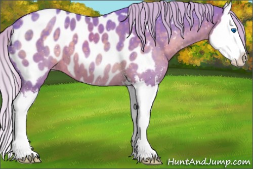 Horse Color:Watercolor Silver Black Sabino Splash Appaloosa 