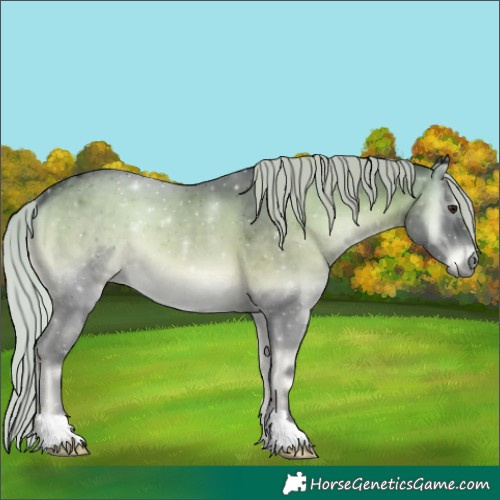Horse Color:Silver Blue Onyx Chinchilla 