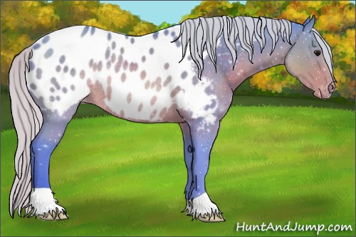 Horse Color:Watercolor Silver Brown Appaloosa Rabicano 