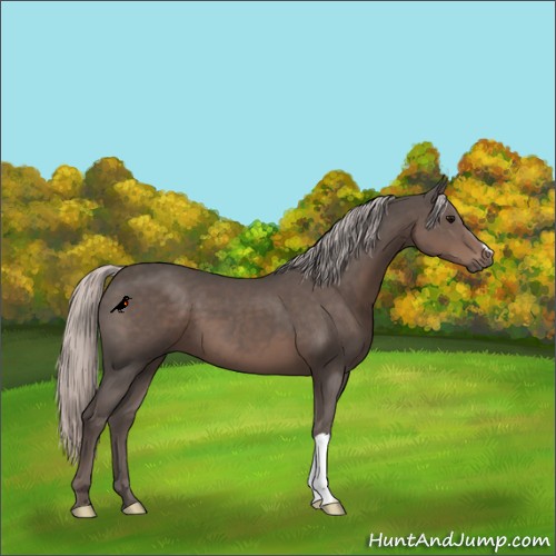 Horse Color:Silver Black Mushroom 