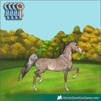 Horse Color:Silver Brown Dun and Classic Champagne Dun