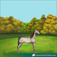 Horse Color:Classic Champagne Dun Rabicano 