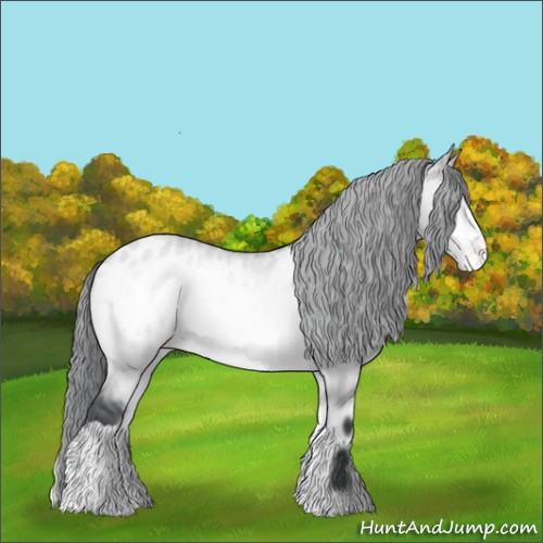 Horse Color:Bay Chinchilla Onyx Appaloosa Rabicano 