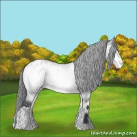 Horse Color:Bay Chinchilla Onyx Appaloosa Rabicano 