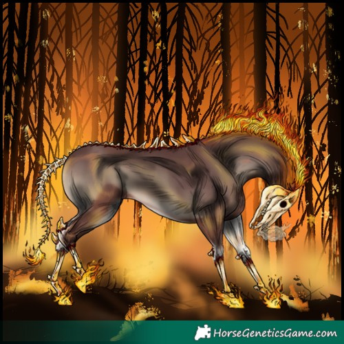 Horse Color:Chocolate Blue Onyx 