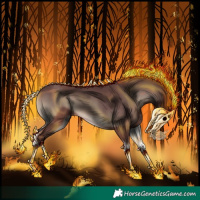 Horse Color:Chocolate Blue Onyx 