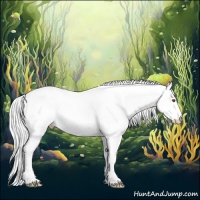 Horse Color:Smoky Creme Chinchilla Rabicano