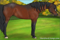 Horse Color:Brown 