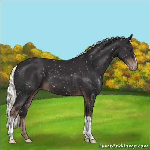 Horse Color:Liver Chestnut Mushroom Snowflake Varnish 
