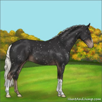 Horse Color:Liver Chestnut Mushroom Snowflake Varnish 