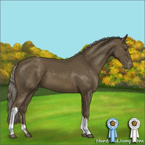 Horse Color:Chocolate Palomino Mushroom Varnish