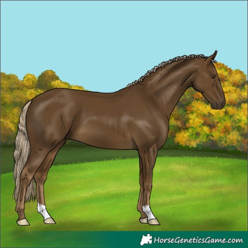 Horse Color:Chocolate Palomino Mushroom 