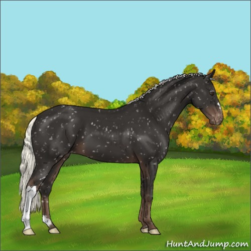 Horse Color:Liver Chestnut Mushroom Snowflake Varnish