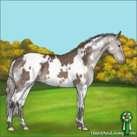 Horse Color:White Spotted Silver Brown Dun Mushroom 