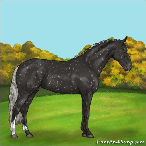 Horse Color:Liver Chestnut Mushroom Snowflake Varnish 