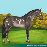 Horse Color:White Spotted Brown Dun Mushroom 