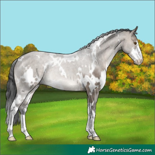 Horse Color:White Spotted Brown Dun Mushroom 