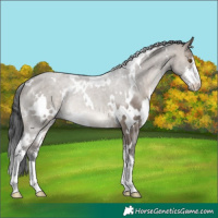 Horse Color:White Spotted Brown Dun Mushroom 