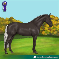 Horse Color:Liver Chestnut Mushroom 