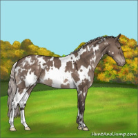 Horse Color:White Spotted Silver Brown Dun Mushroom Varnish 