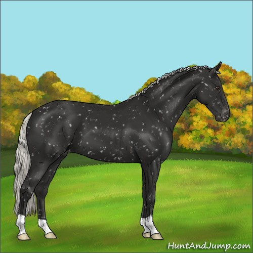 Horse Color:Liver Chestnut Mushroom Snowflake Varnish 