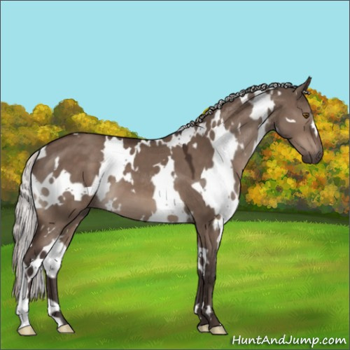 Horse Color:White Spotted Silver Brown Dun Mushroom