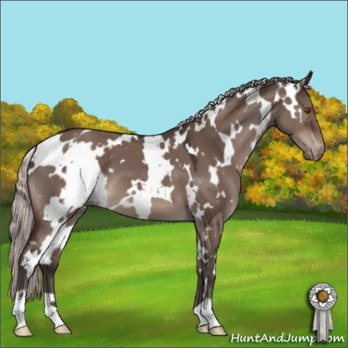 Horse Color:White Spotted Silver Brown Dun Mushroom Appaloosa 