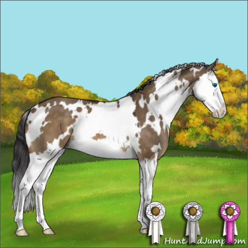 Horse Color:White Spotted Buckskin Dun Mushroom Splash 