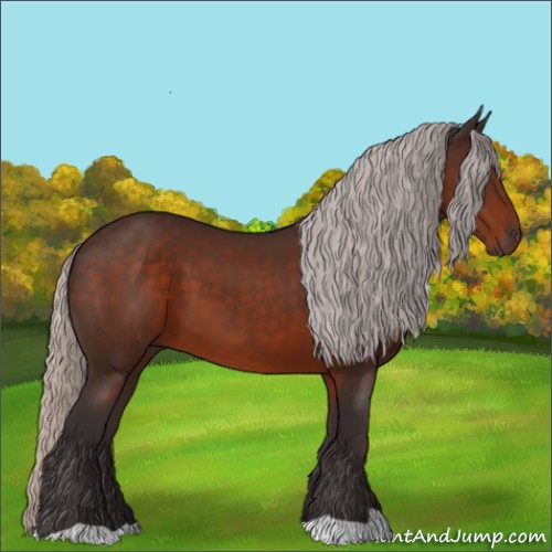 Horse Color:Silver Brown 