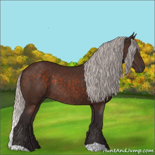 Horse Color:Silver Brown Rabicano 