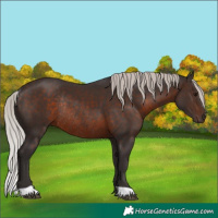Horse Color:Silver Brown Rabicano 