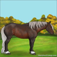 Horse Color:Silver Brown Rabicano 