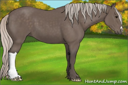 Horse Color:Silver Black 