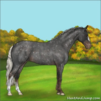 Horse Color:Liver Red Roan Mushroom Appaloosa 