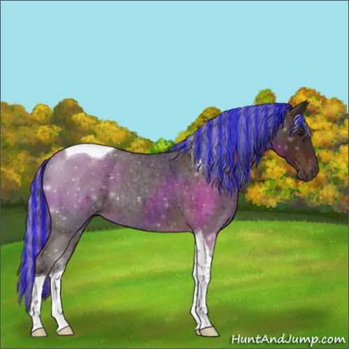 Horse Color:Painted Silver Brown Roan Tobiano