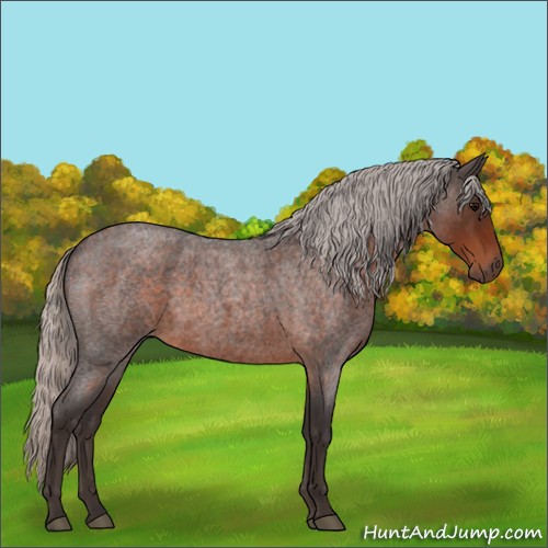 Horse Color:Silver Brown Roan 