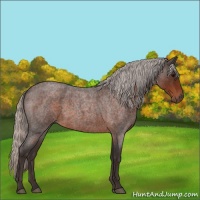 Horse Color:Silver Brown Roan 