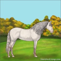 Horse Color:Silver Sable Champagne Ice Dun 