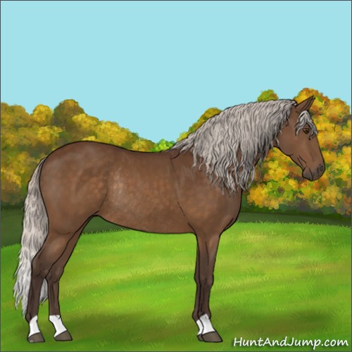 Horse Color:Silver Buckskin Rabicano 