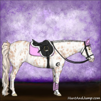 Horse Color:Gold Champagne Appaloosa  and Gold Champagne Frame Appaloosa 
