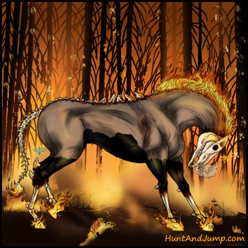 Horse Color:Void Bay Dun Splash