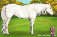 Horse Color:White Spotted Gold Cream Champagne Pearl Appaloosa 