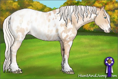 Horse Color:White Spotted Silver Classic Champagne Pearl Sabino Blanket