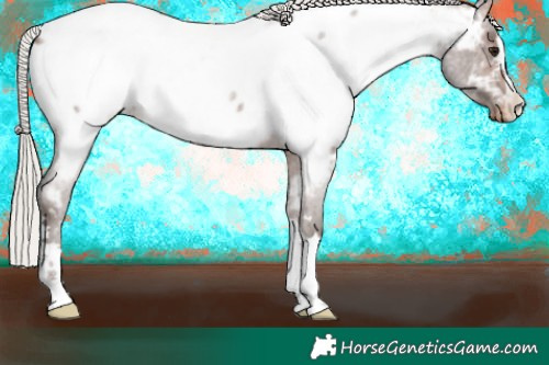 Horse Color:Silver Brown Roan Near Fewspot 