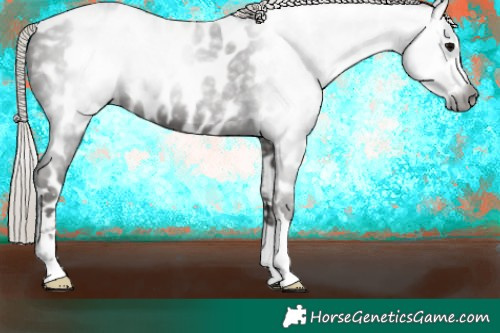 Horse Color:Gray Silver Black Near Leopard 