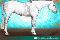 Horse Color:Gray Silver Black Near Leopard 