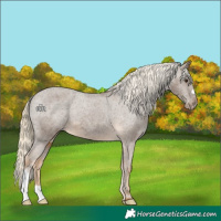 Horse Color:Chocolate Palomino Varnish
